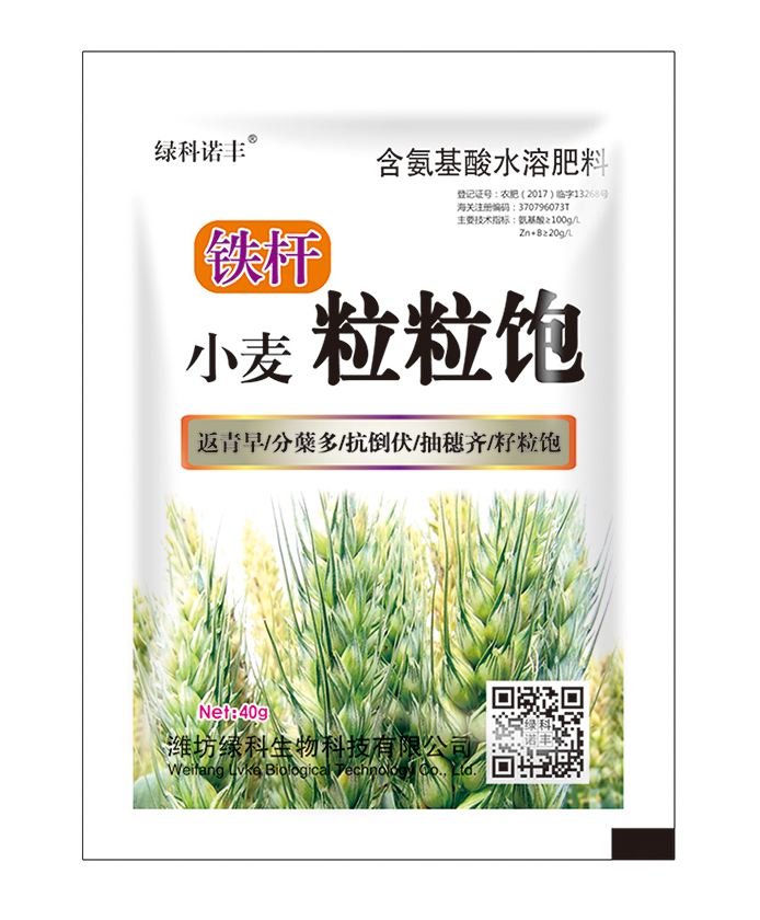 鐵桿 小麥粒粒飽 40g單袋